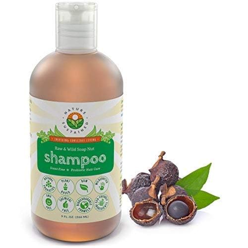 Natural Shampoo - Organic, Raw & Wildcrafted with Probiotics, Hypoallergenic Natural & Sulfate Free Shampoo for Sensitive Scalp, Dry Hair, Dandruff, Eczema & Psoriasis, 9oz, Original-Velvo Beauty