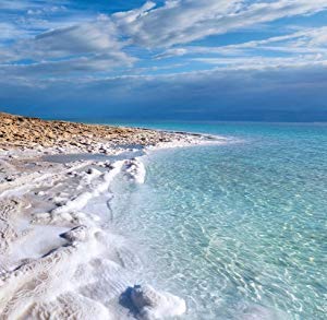 Natural Elephant Dead Sea Bath Salt |19 Pounds Bulk Bag | 100% Natural and Pure| Fine Grain | Perfect for Bathing and Soothing Soaks-Velvo Beauty