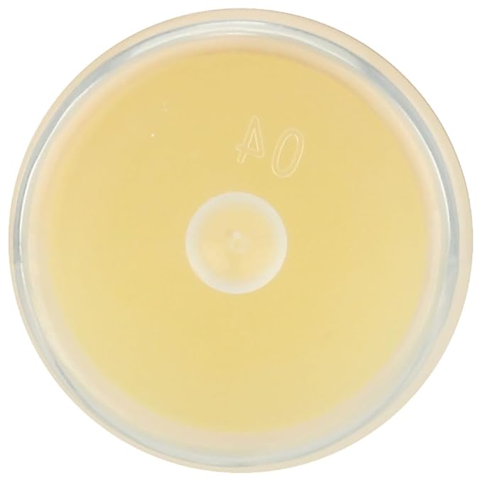 LIP BALM Mongo Kiss 6-Pack (6 tubes) Vanilla Honey by Eco Lips 100% Organic Beeswax & Cocoa Butter Lip Care with Organic Mongongo Oil - Soothe & Moisturize Dry and Cracked Lips - Made in USA-Velvo Beauty