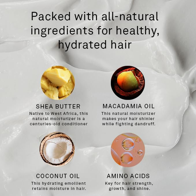 Hawthorne Frizz Fighter Shampoo for Curly Hair with Shea Butter, Macadamia, and Coconut Oil. Hydrate Hair and Tame Frizz. Sulfate Free, Paraben Free. 8 Fl. Oz. 2-Pack.-Velvo Beauty