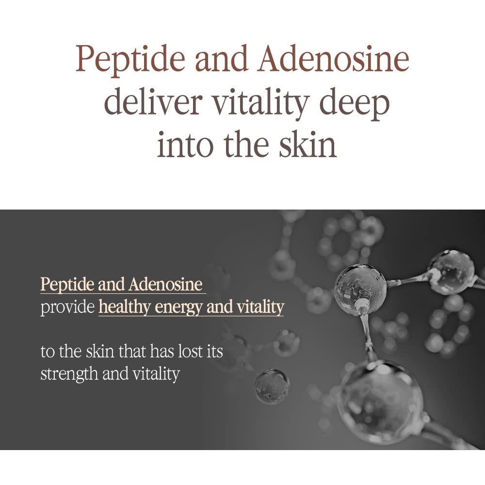 Pyunkang Yul PKY Black Tea Boosting Serum for Anti-aging, Condensed Nutrition for Fine Line Care with Kombucha, Ginseng Fruit Extract, Zero-Irritation, Korean Skincare (1.52 Fl. Oz, 45ml)-Velvo Beauty