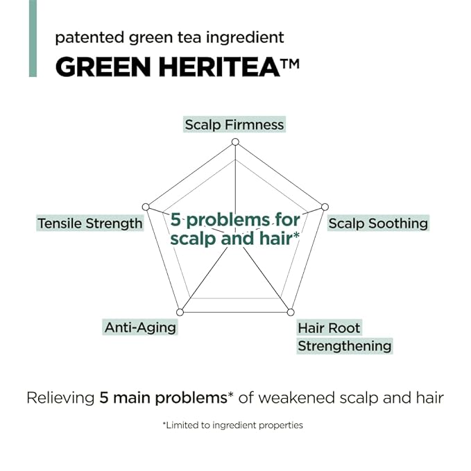 AMOS PROFESSIONAL The Green Tea Shampoo Refresh for Thinning Hair, Korean Shampoo for Oily Scalp l Deep Cleans, Strengthening Hair, All Hair Types, 16.9 fl.oz-Velvo Beauty