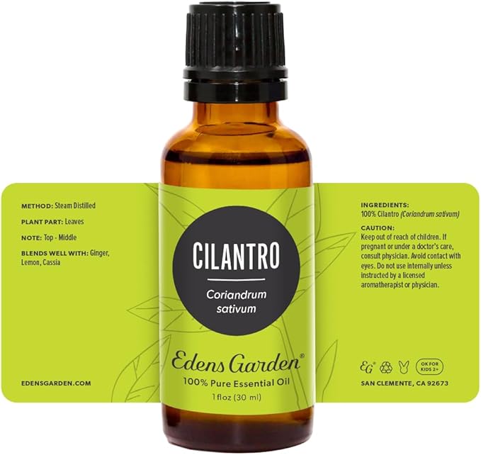 Edens Garden Cilantro Essential Oil- 100% Pure Premium Grade, Undiluted, Natural, Therapeutic, Aromatherapy, The Best for Diffuser, Candle, Laundry, Kid Safe 30 ml (1 fl oz)-Velvo Beauty
