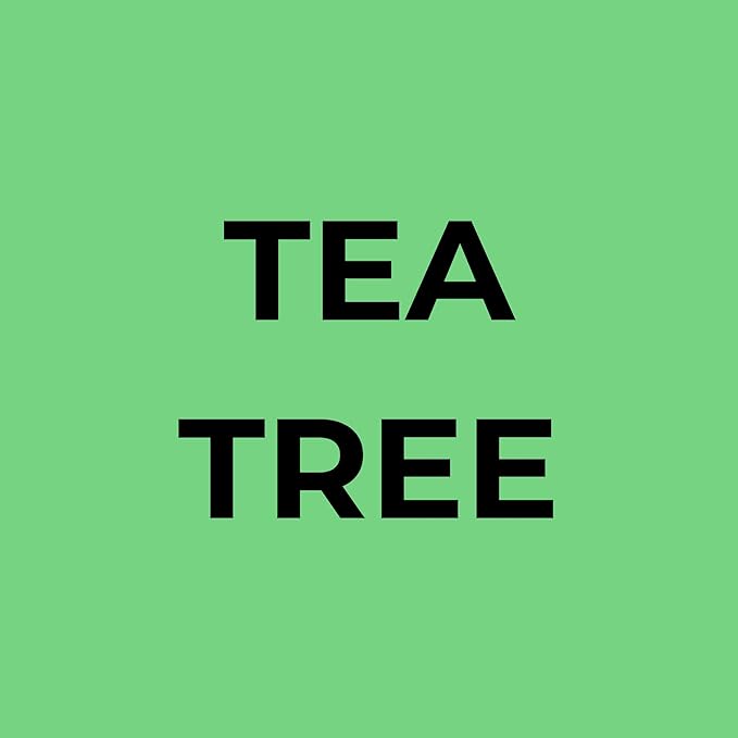 Soapbox Tea Tree Shampoo and Conditioner Set, Scalp Balancing with Tea Tree Oil, Jojoba Oil, Aloe and Shea Butter to Clean and Purify for All Hair Types, 1 Liter Each (Pack of 2)-Velvo Beauty