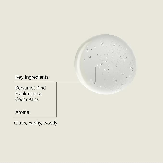 Aesop Shampoo & Conditioner Set | Hydrates, Softens, & Adds Shine | All Hair Types | 16.9 oz / 500mL-Velvo Beauty