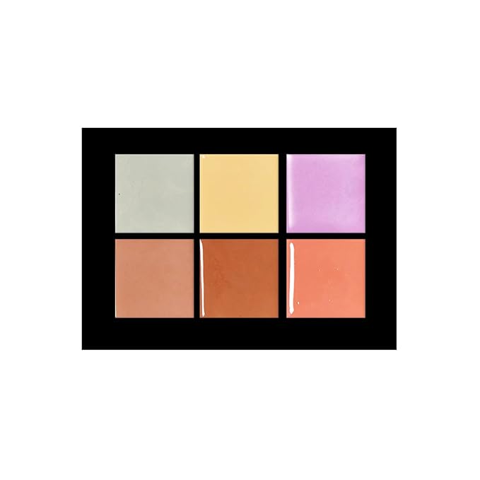 Profusion Cosmetics Studio Corrector Palette for Radiant, Even Skin Tone, Raise Your Makeup Routine and Reduce Redness, Dark Circles, and Other Imperfections to Achieve Flawless Skin-Velvo Beauty
