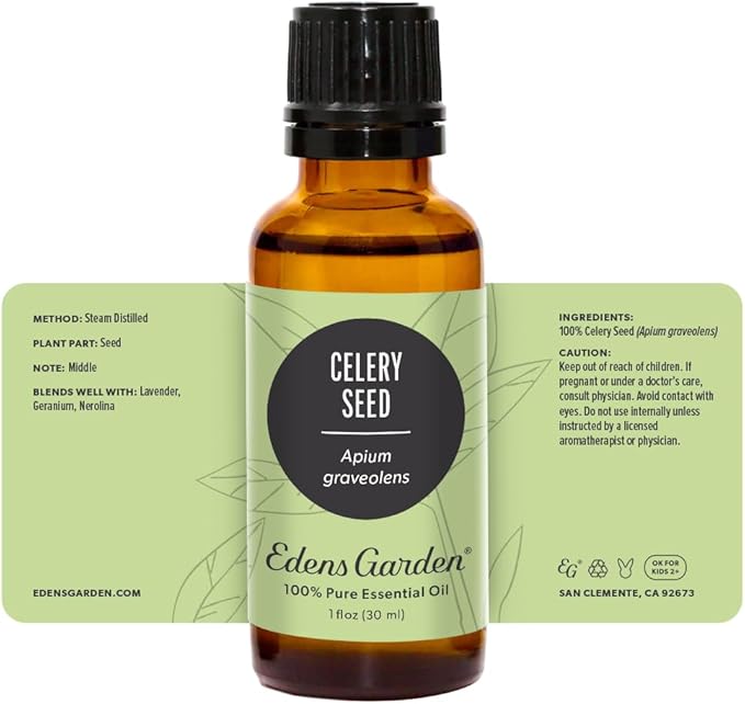 Edens Garden Celery Seed Essential Oil- 100% Pure Premium Grade, Undiluted, Natural, Therapeutic, Aromatherapy, The Best for Diffuser, Skin, Candle, Laundry 30 ml (1 fl oz)-Velvo Beauty
