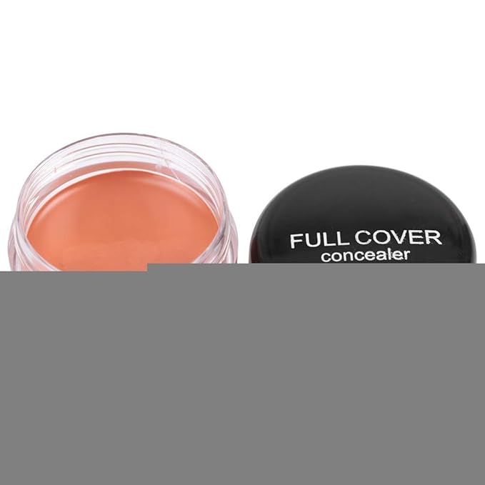 Concealer Conceal Dark Circles Eye Bags Acne Marks Makeup (FC04)-Velvo Beauty