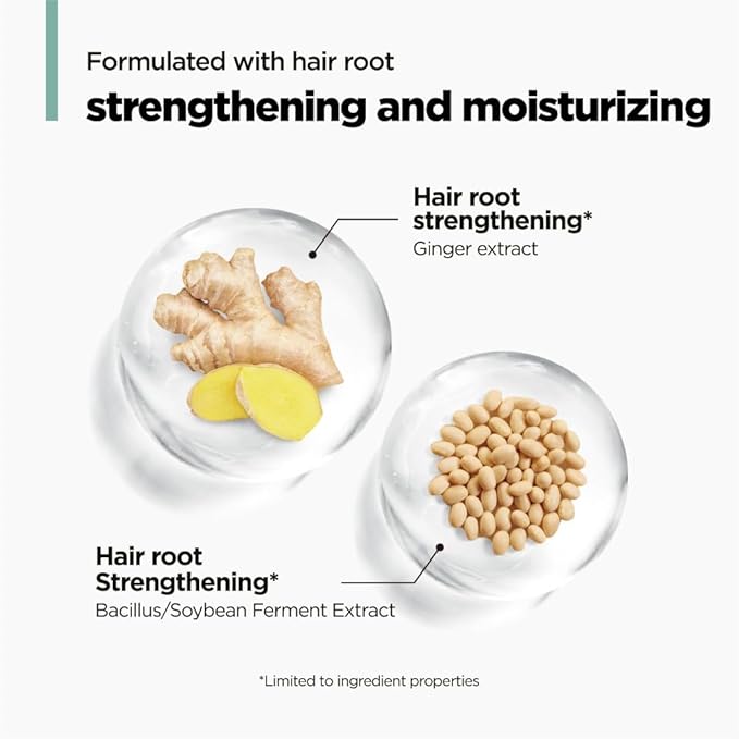 AMOS PROFESSIONAL The Green Tea Shampoo Refresh for Thinning Hair, Korean Shampoo for Oily Scalp l Deep Cleans, Strengthening Hair, All Hair Types, 16.9 fl.oz-Velvo Beauty