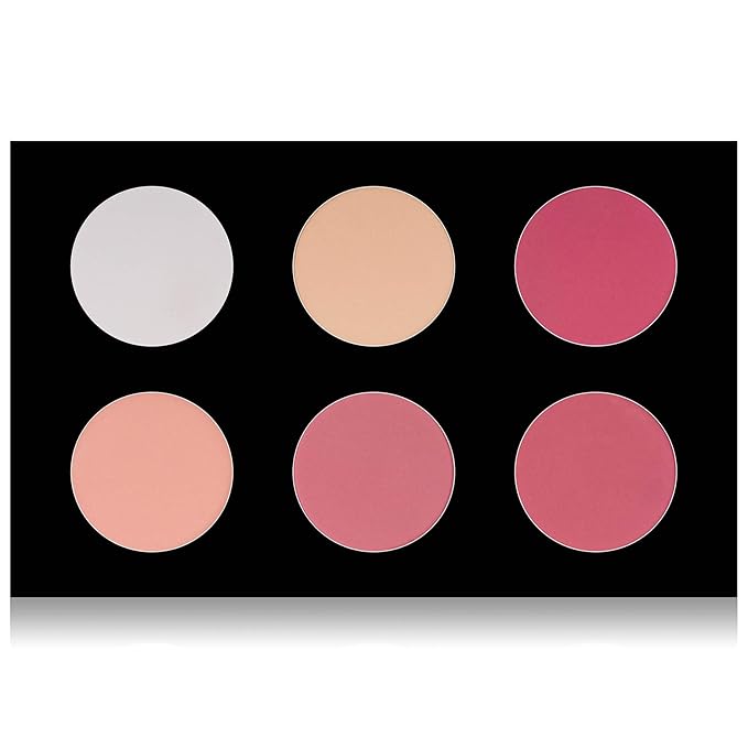 SHANY Cosmetics Shimmer & Matte Blush/Highlighter Face Palette - Layer 4 - Refill For The 6 Layer Mini Masterpiece Collection Makeup Set, Highlighter-Velvo Beauty