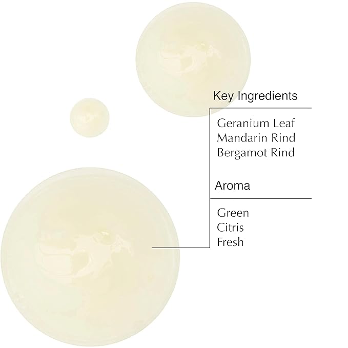 Aesop Geranium Leaf Body Cleanser | Non-drying Gentle Cleanser | Geranium Leaf, Mandarin Rind, Bergamot Rind | 16.9 oz / 500mL (Pack of 3)-Velvo Beauty