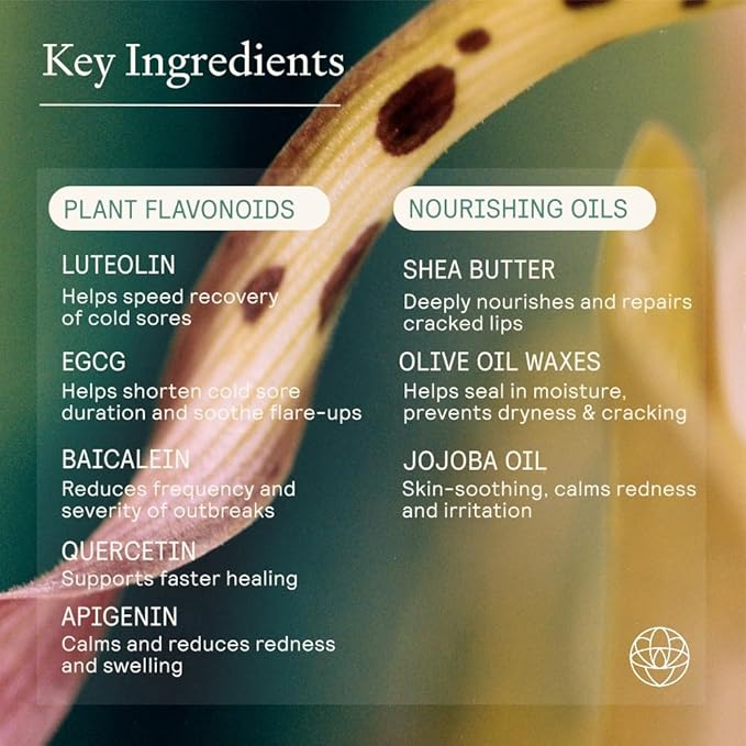 Lip Health Balm - Daily Cold Sore Relief & Recovery - Powered by 5 Plant Flavonoids & XDF Technology - Lightweight Hydrating Barrier Support for Lips - Soothing, Nurturing Formula, 5g-Velvo Beauty