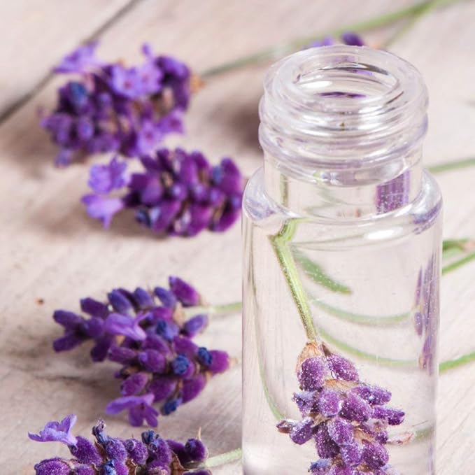 OPO Lavender Water Hydrosol - Pure Steam Distilled Natural Non GMO Calming Bulk Body, Face, Facial Toner, Aromatherapy, Set Makeup, Cleanser Mist Spritz (128 oz / 1 Gallon)-Velvo Beauty