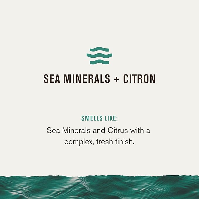 Every Man Jack Nourishing Sea Minerals + Citron Mens Body Wash for All Skin Types - Naturally Derived Ingredients - Cleanse and Hydrate Skin with Coconut and Glycerin - 24oz 2 Bottles-Velvo Beauty