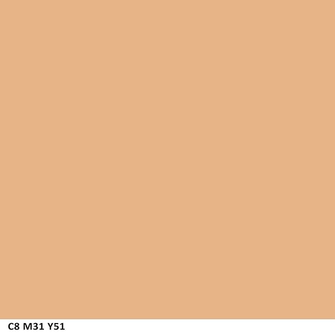 COVERGIRL Ready Set Gorgeous Fresh Complexion Concealer Medium/Deep 305/310, 37 oz (packaging may vary) (Pack of 2)-Velvo Beauty