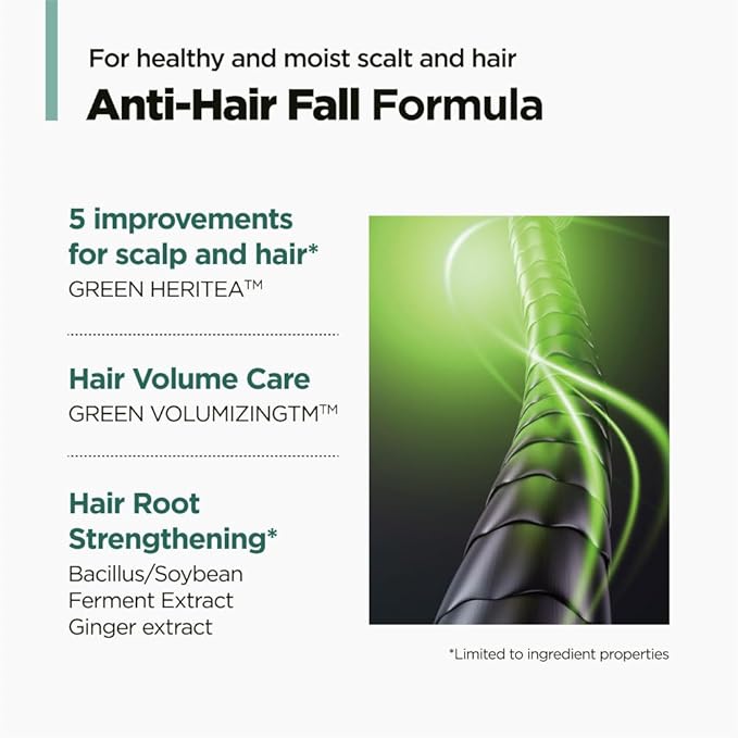 AMOS PROFESSIONAL The Green Tea Shampoo Refresh for Thinning Hair, Korean Shampoo for Oily Scalp l Deep Cleans, Strengthening Hair, All Hair Types, 16.9 fl.oz-Velvo Beauty