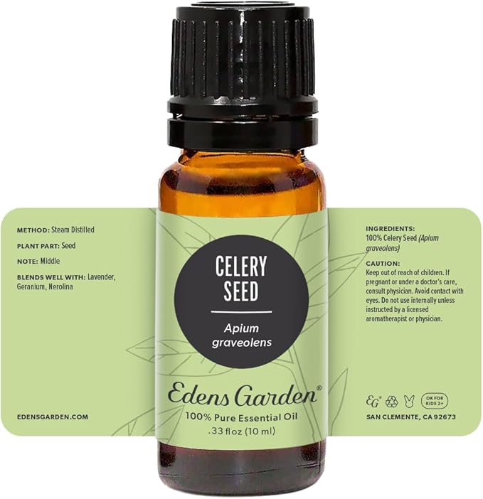 Edens Garden Celery Seed Essential Oil- 100% Pure Premium Grade, Undiluted, Natural, Therapeutic, Aromatherapy, The Best for Diffuser, Skin, Candle, Laundry 10 ml (.33 fl oz)-Velvo Beauty