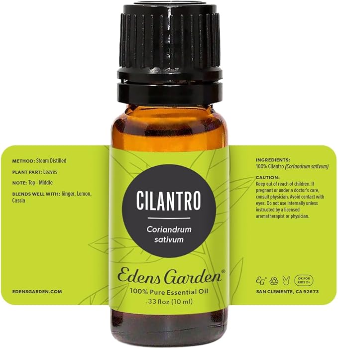 Edens Garden Cilantro Essential Oil- 100% Pure Premium Grade, Undiluted, Natural, Therapeutic, Aromatherapy, The Best for Diffuser, Candle, Laundry, Kid Safe 10 ml (.33 fl oz)-Velvo Beauty