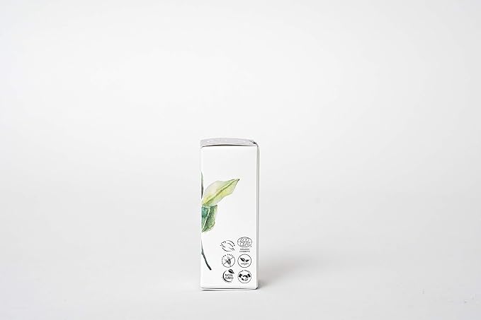 Skin Essence Organics Ocular Eye Serum-Velvo Beauty