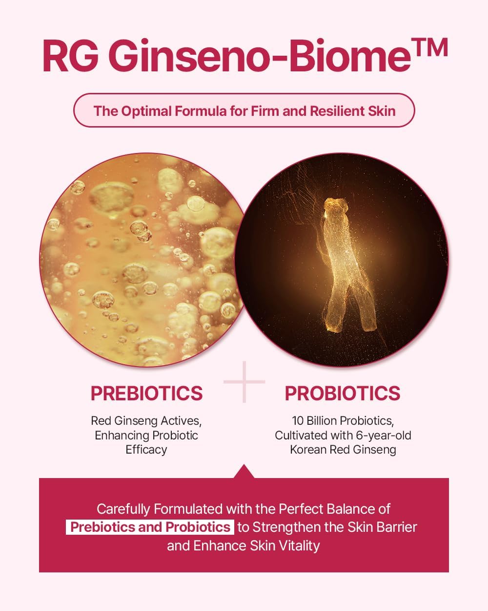 Donginbi Red Ginseng Daily Defense Special Set - Firming Cream(0.85 floz) & Korean Red Ginseng Essence(2.03 floz), Skin Barrier Repair Serum for Dry Skin, Korean Skin Care Gifts for Women-Velvo Beauty