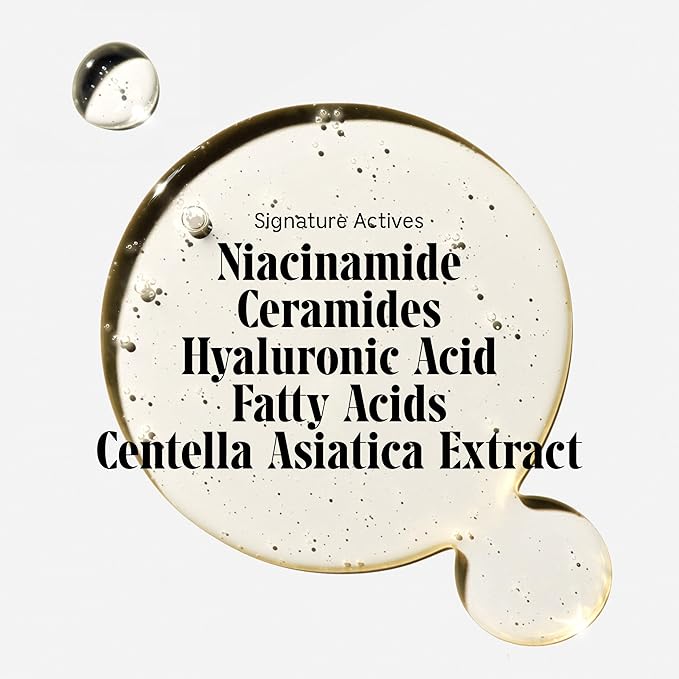 Nécessaire The Body Wash Fragrance-Free. Natural Body Wash for Women + Men. Barrier Cleanse. Multi-Ceramide Gel Cleanser, 16.9 Fl Oz.-Velvo Beauty