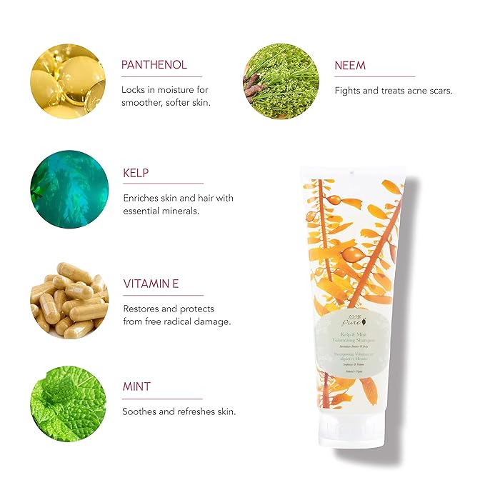 100% PURE Kelp & Mint Volumizing Shampoo Purifying Hydration & Deep Detox - Botanical Body Boost for Dry, Damaged Thinning Hair, Promotes Healthy Growth for Women & Men - Sulfate Free - 8 Fl Oz-Velvo Beauty