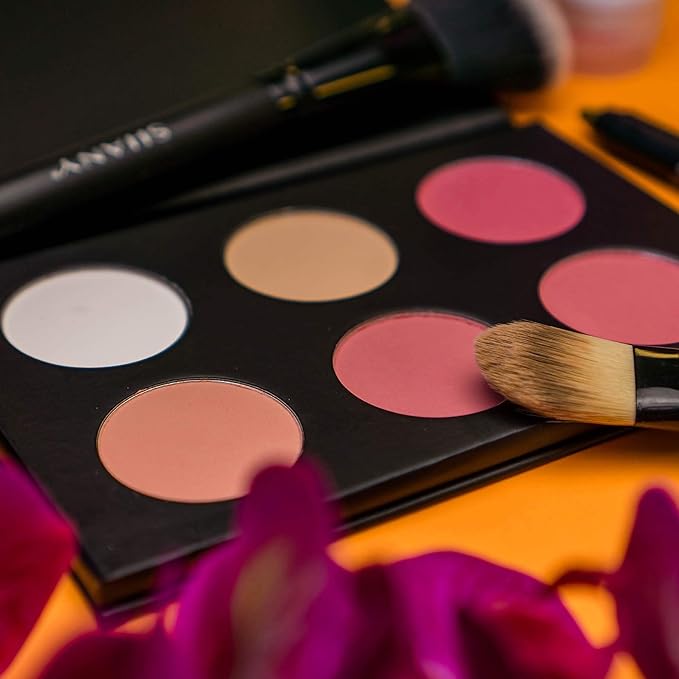 SHANY Cosmetics Shimmer & Matte Blush/Highlighter Face Palette - Layer 4 - Refill For The 6 Layer Mini Masterpiece Collection Makeup Set, Highlighter-Velvo Beauty