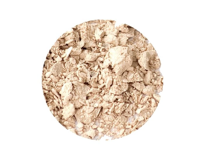 Gabriel Cosmetics Eyeshadow (Bone - Ivory/Neutral Matte), 0.07 oz, Natural, Paraben Free, Vegan,Gluten free,Cruelty free,No GMO,Velvety and Smooth matte finish, with Sea Fennel,for all skin types-Velvo Beauty
