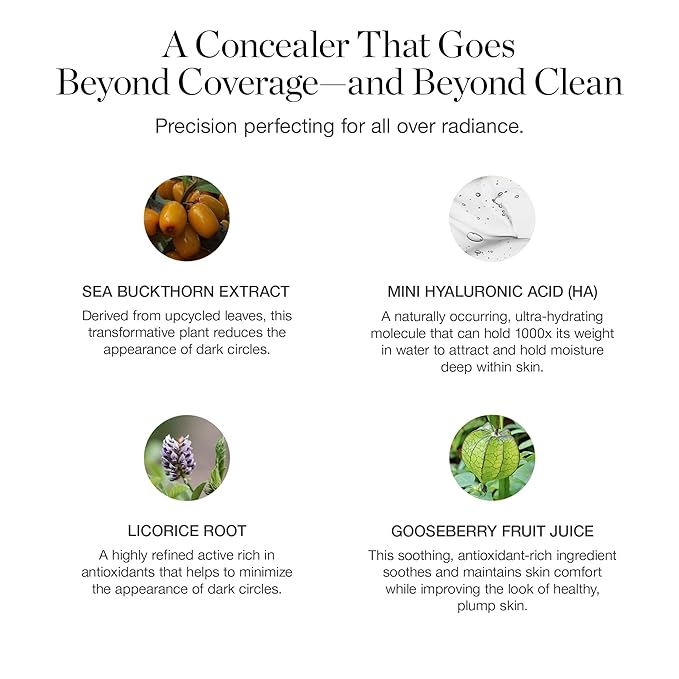 Ogee Complexion Perfecting Under Eye Concealer - Certified Organic Full Coverage Concealer - Buildable Coverage - FIR 0.02W - Fair (Warm-Golden Undertones)-Velvo Beauty