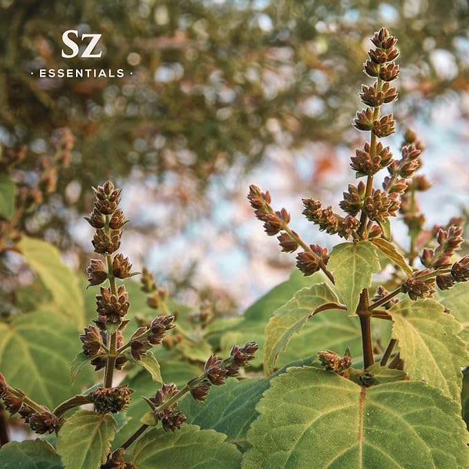 – 5-Year Aged Dark-Patchouli – Premium Essential Oil – Deep, Earthy Aroma | 100% Pure for Aromatherapy, Wellness & Natural Perfumery – DIY | Therapeutic Grade & Vegan – 0.17 fl oz.-Velvo Beauty