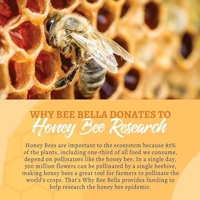 Bee Bella Lip Balm, Peppermint, 3 Pack - Hydrating, Moisturizing Lip Care, 100% Natural, Original Organic Beeswax with Vitamin E, Handmade in USA-Velvo Beauty