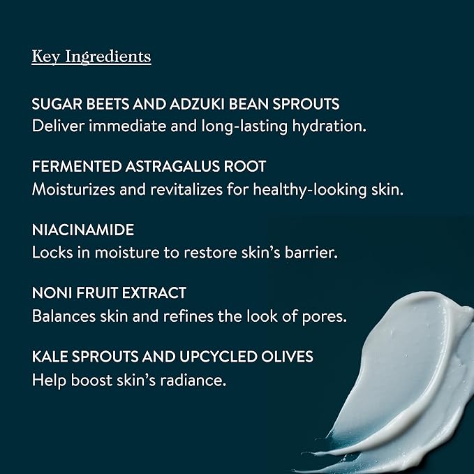 goop Beauty 72-Hour Hydrating Water Cream | Matte Moisturizer for All Skin Types | Niacinamide & Fermented Astragalus Root | Hydrating Face Lotion to Plump, Firm & Reduce the Look of Pores | 1.7 fl oz-Velvo Beauty