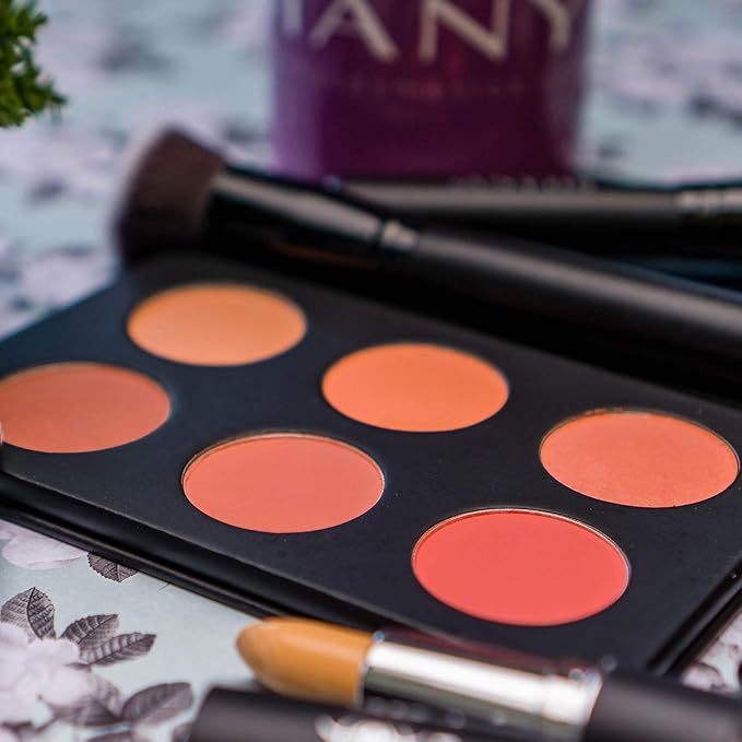 SHANY Shimmer & Matte Warm-Toned Blush Palette - Layer 6 - Refill for the 6 Layer Mini Masterpiece Collection Makeup Set-Velvo Beauty