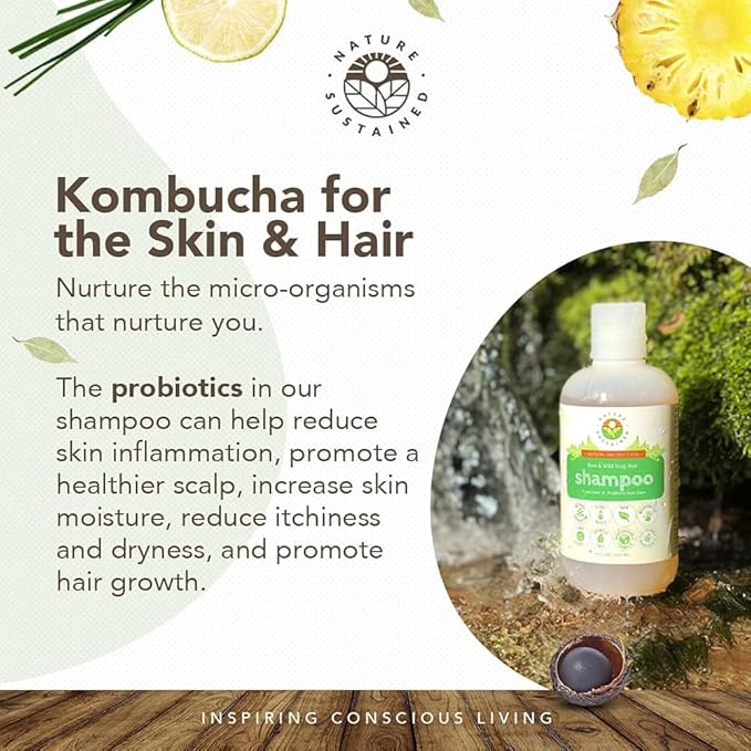 Natural Shampoo - Organic, Raw & Wildcrafted with Probiotics, Hypoallergenic Natural & Sulfate Free Shampoo for Sensitive Scalp, Dry Hair, Dandruff, Eczema & Psoriasis, 9oz, Original-Velvo Beauty