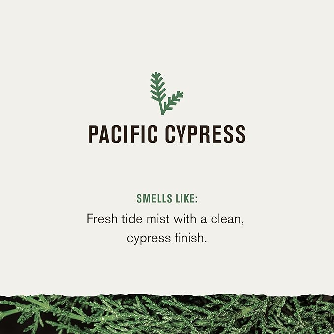 Every Man Jack Nourishing Pacific Cypress Mens Body Wash for All Skin Types - Naturally Derived Ingredients - Cleanse and Hydrate Skin with Coconut and Glycerin - 24oz 2 Bottles-Velvo Beauty