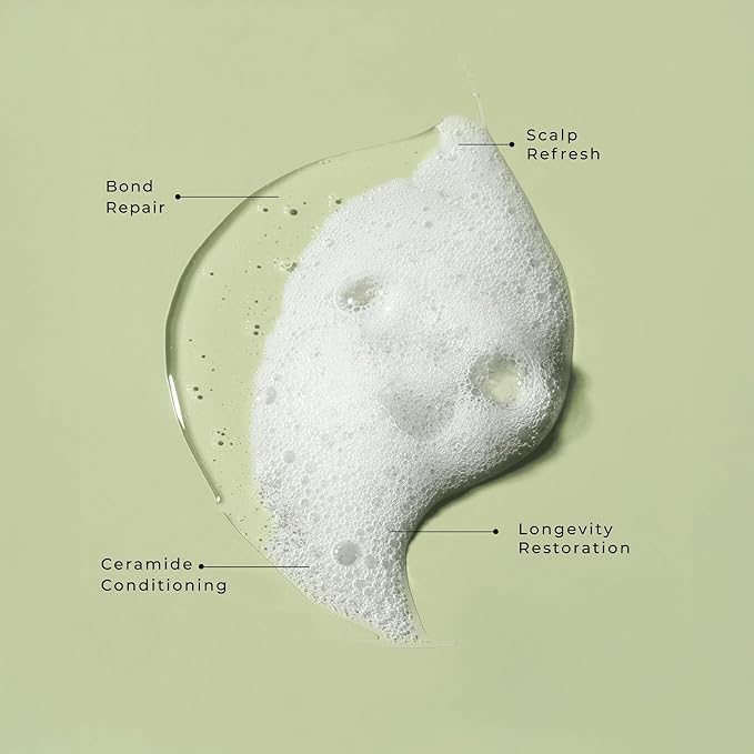 LolaVie Restorative Shampoo - 8.5 oz, 2 Pack - Repairs Look of Damage, Protects from Breakage, Reduces Frizz for 12x Softer, Smoother Hair - Gentle, Color Safe - All Hair Types-Velvo Beauty