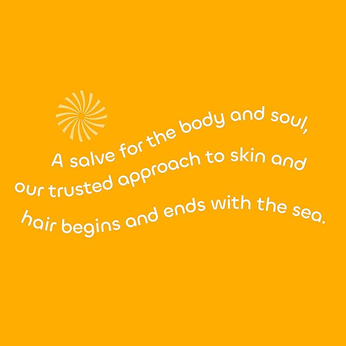 Seaweed Bath Co. Hydrate Body Cream, Citrus Vanilla Scent, 6 Ounce, Nourishing Hand & Body Lotion Moisturizer for Dry Skin, with Sustainably Harvested Seaweed, Kukui Oil, Hyaluronic Acid, Shea Butter-Velvo Beauty