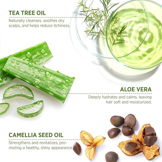 Roycederm Tea Tree Antifungal Shampoo and Conditioner: Complete Scalp Care Solution for Folliculitis, Dry, Itchy, and Flaky Scalp - Infused with Tea Tree Oil, Paraben & Sulfate Free-Velvo Beauty