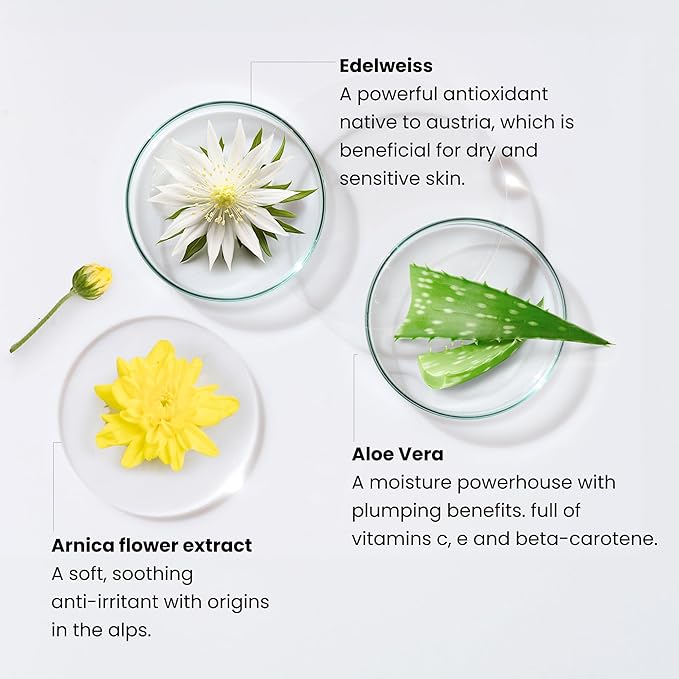 Monika Blunder Beauty - Blunder Cover Foundation Concealer - Shade: 7.5 - Sieben.5 - Deep, Warm Golden Undertones - Clean Beauty, All-In-One, Cruelty-Free, Vegan - 0.62 oz-Velvo Beauty