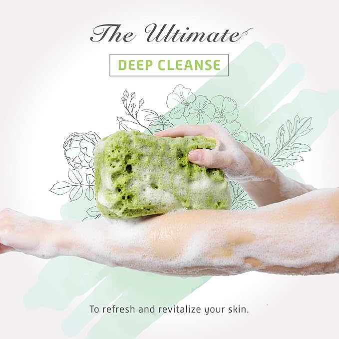 Spongentle Deep Cleansing Dual Texture Body Loofah Sponge, Vacuum Sealed, for Bath and Shower, for Gentle and Deep Exfoliation, Generous and Rich Lather, (Pack of 3)-Velvo Beauty