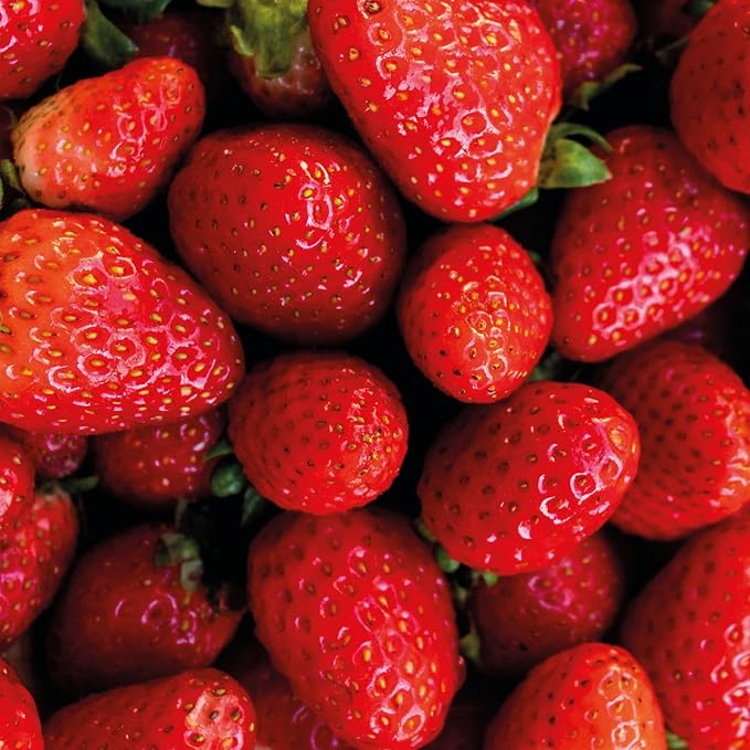 Nativa SPA by O Boticário, Ruby Strawberry Antioxidant Body Lotion, Brightening Vitamin C and Nourishment for Radiant Skin, 13.5 Ounce-Velvo Beauty