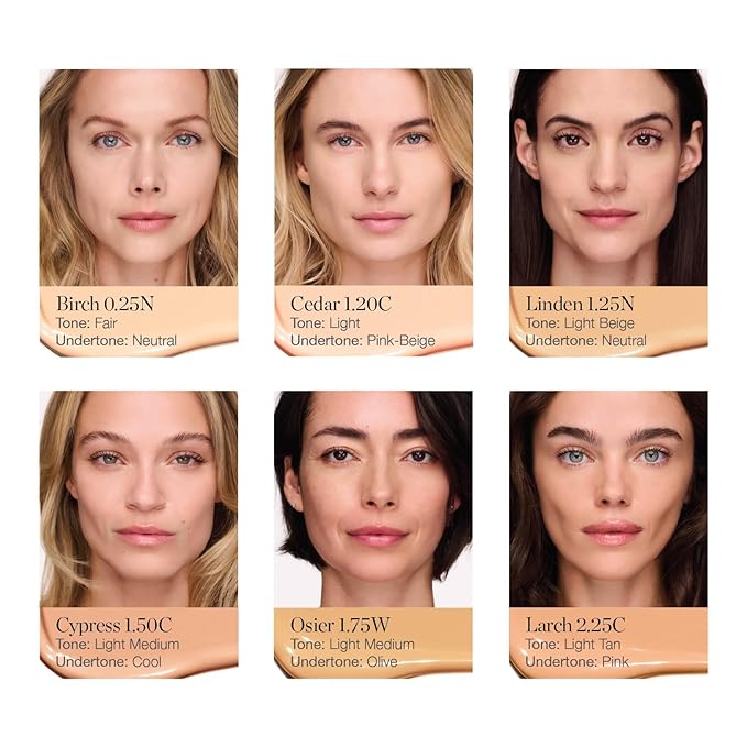Ogee Complexion Perfecting Under Eye Concealer - Certified Organic Full Coverage Concealer - Buildable Coverage - CYPRESS 1.50C - Light Medium (Cool Undertones)-Velvo Beauty