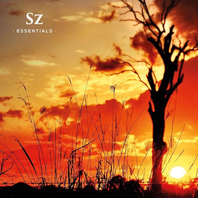 Elemi Essential Oil (Canarium Luzonicum) - 100% Pure and Undiluted - Fresh, Citrusy & Spicy Scent with Subtle Balsamic and Peppery Undertones - Therapeutic Grade & Vegan -0.17 oz (5ml)-Velvo Beauty