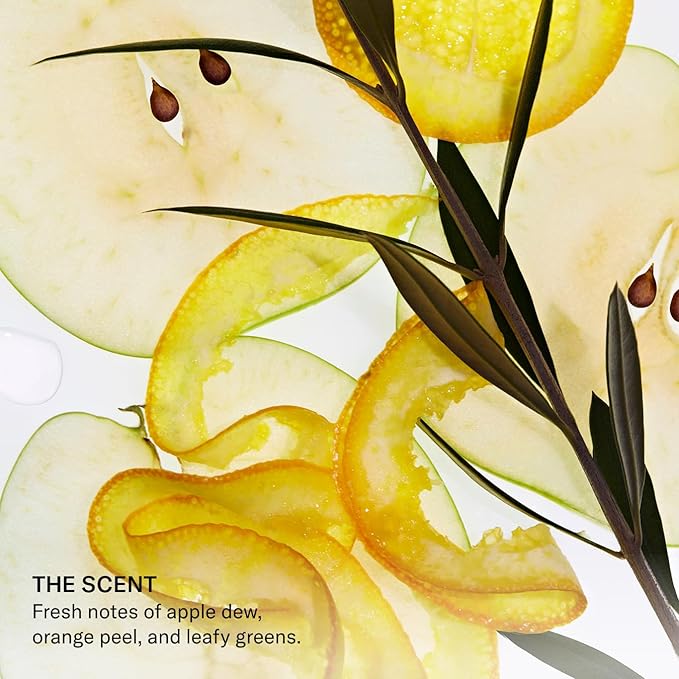 SEEN Shampoo - Scented - Non-Comedogenic & Sulfate-Free Hair Shampoo- Dermatologist-Developed - Safe for Sensitive & Acne Prone Skin-Velvo Beauty