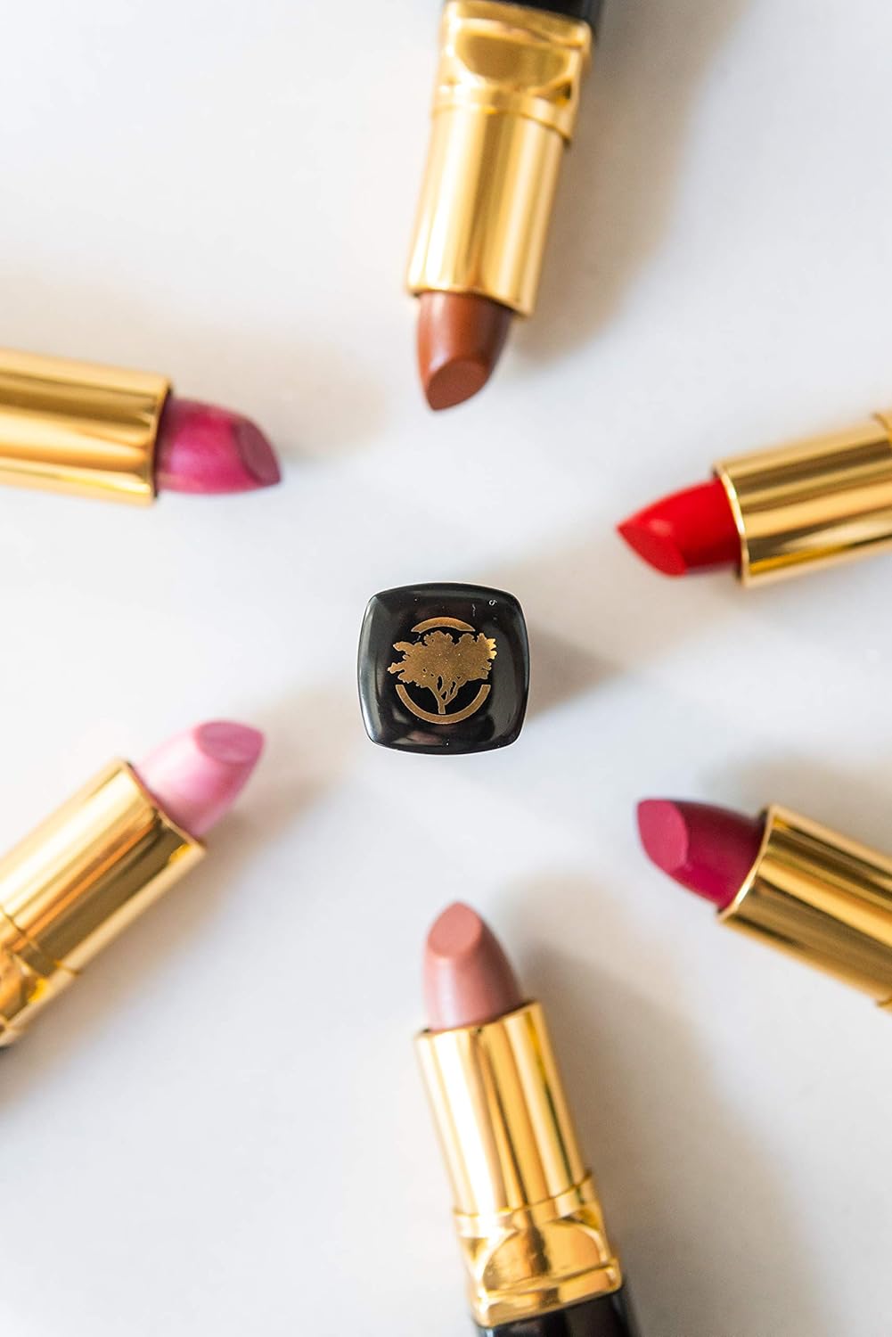 Essence Of Argan Dark Brown Lipstick for Cracked & Dry Lips - 100% Organic Argan & Jojoba Oil, Shea Butter & Aloe Vera - Hydrating & Deep Moisturizing Chocolate Brown Long Lasting Lipstick for Women-Velvo Beauty