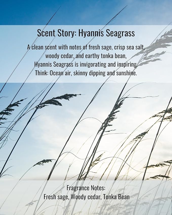 Hines+Young Travel Tins Gift Set - 4 oz Body Cream, 2 oz Linen Spray, Natural Lip Balm - Skin Care and Refreshing Home Fragrance, Ideal Self-Care Gift Set (Pack of 3, Hyannis Seagrass)-Velvo Beauty