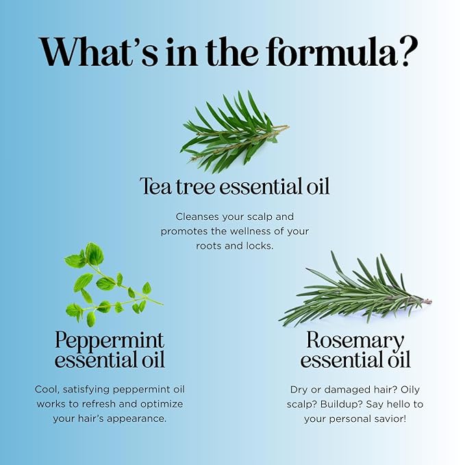 Tea Tree Mint Shampoo and Conditioner - Tea Tree Rosemary Mint Shampoo and Conditioner Set Sulfate Free for Daily Clarifying and Dry Scalp Care - Paraben and Sulfate Free Shampoo and Conditioner 16oz-Velvo Beauty