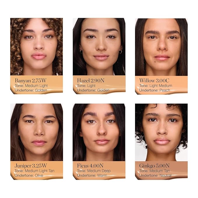 Ogee Complexion Perfecting Under Eye Concealer - Certified Organic Full Coverage Concealer - Buildable Coverage - FICUS 4.00N - Medium Deep (Warm Undertones)-Velvo Beauty