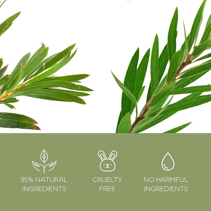 Charcoal & Tea Tree Peel-Off Face Mask - Blackhead Remover, Acne Treatment, Unclogs Pores, Deep Cleansing - Dermatologist Tested Korean Skincare, Clean Beauty, Cruelty-Free - 6.7 Fl oz-Velvo Beauty
