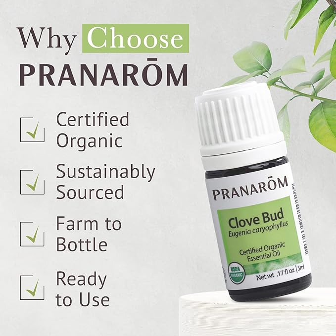Pranarom USDA Certified Organic Clove Essential Oil (5ml), 100% Pure Undiluted Therapeutic Grade from Sri Lanka & Madagascar for Aromatherapy, Diffuser, Immune Support, DIY Cleaning, Warm Scent-Velvo Beauty